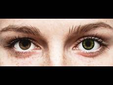 ColourVUE BigEyes Party Green - ohne Stärke (2 Linsen)