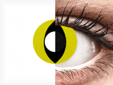 CRAZY LENS - Cat Eye Yellow - Tageslinsen ohne Stärke (2 Linsen)