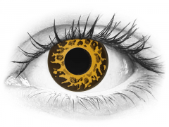 CRAZY LENS - Cheetah - Tageslinsen mit Stärke (2 Linsen)