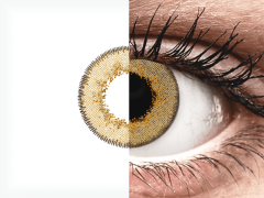 TopVue Daily Color - Brown - Tageslinsen ohne Stärke (2 Linsen)